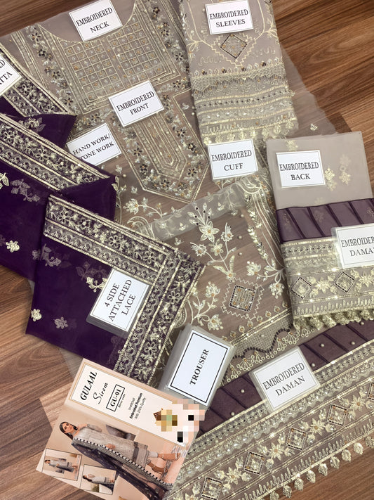 Gulaal Wedding Edition – Embroidered Organza Suit with Handwork & Malai Trouser